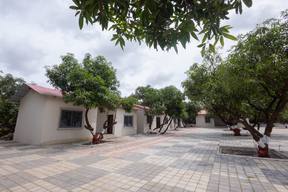 Escape to Aranya Resort: Your Ultimate Nature's Paradise in Sasan Gir