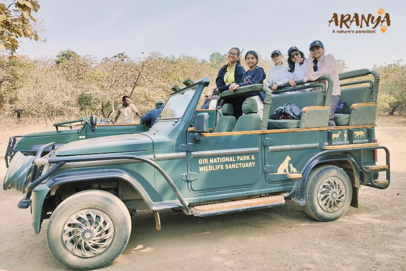 Best Things to Do in Gir Forest National Park