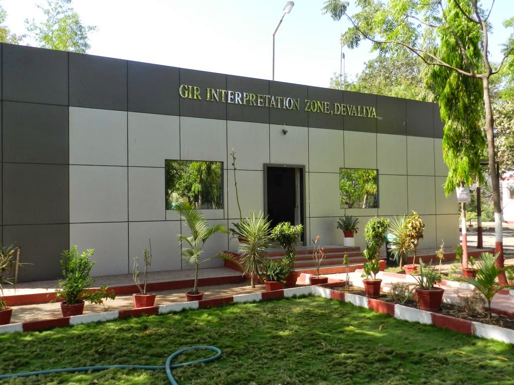 Devalia Safari Park - Image 1