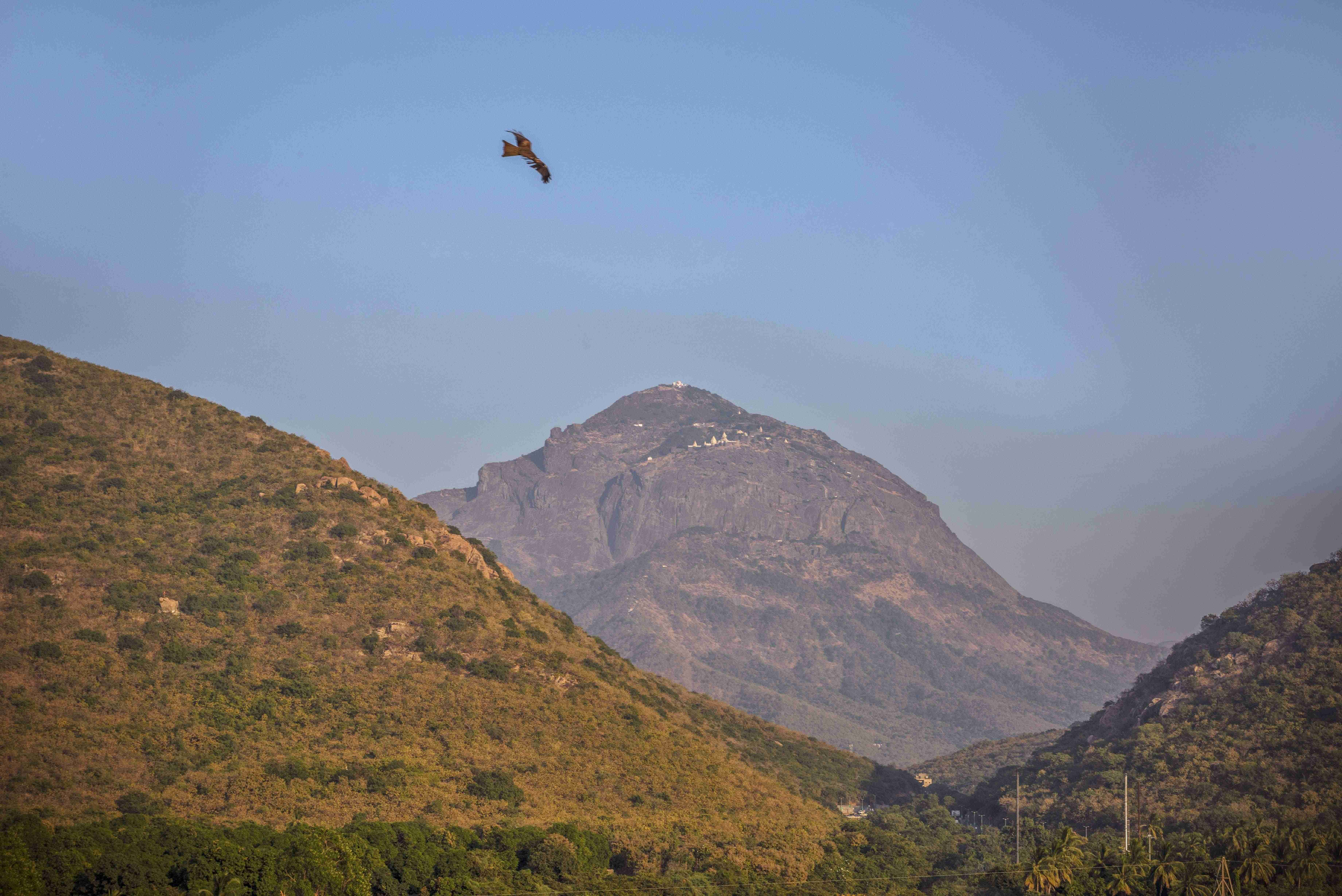Girnar Hill – Junagadh