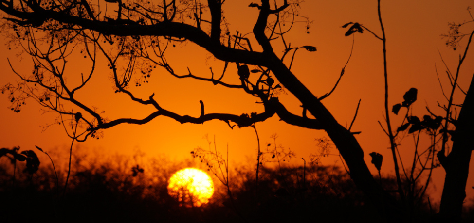 Explore Around Aranya Gir Resort 